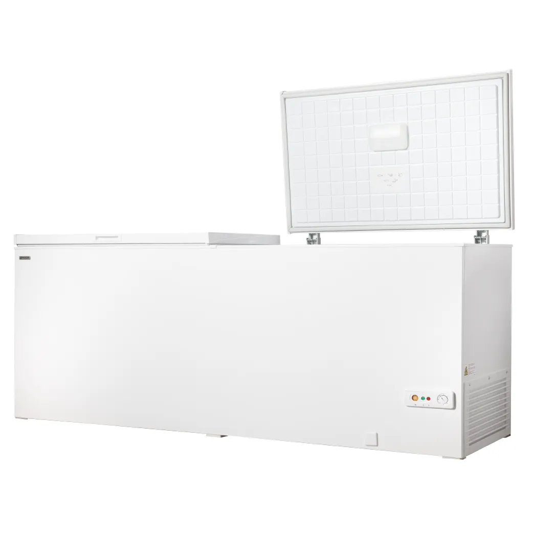 DL612 Inox