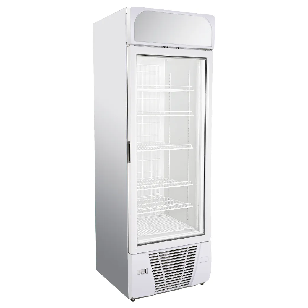 Freezer 500